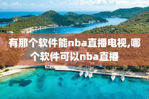 有那个软件能nba直播电视,哪个软件可以nba直播