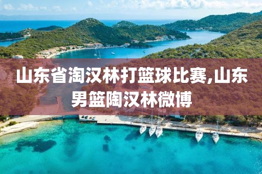 山东省淘汉林打篮球比赛,山东男篮陶汉林微博