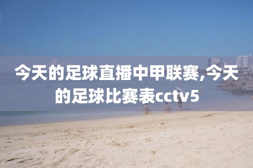今天的足球直播中甲联赛,今天的足球比赛表cctv5