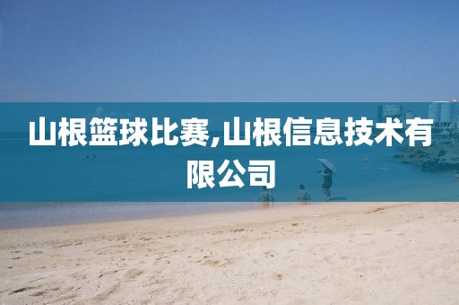 山根篮球比赛,山根信息技术有限公司