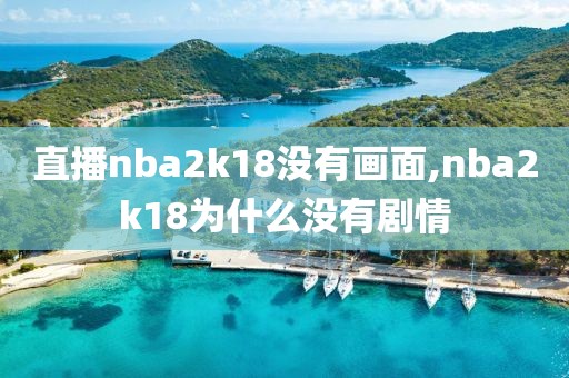 直播nba2k18没有画面,nba2k18为什么没有剧情