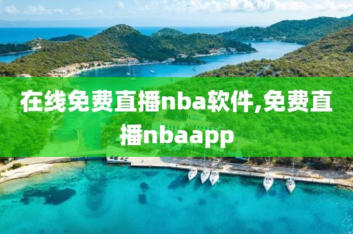 在线免费直播nba软件,免费直播nbaapp