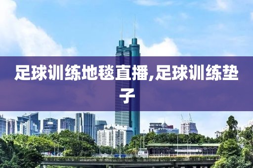 足球训练地毯直播,足球训练垫子