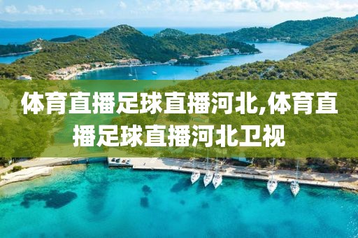 体育直播足球直播河北,体育直播足球直播河北卫视