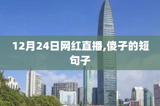 12月24日网红直播,傻子的短句子