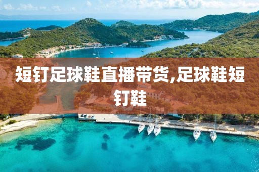 短钉足球鞋直播带货,足球鞋短钉鞋