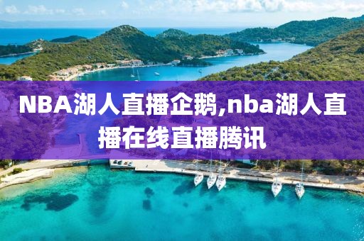 NBA湖人直播企鹅,nba湖人直播在线直播腾讯