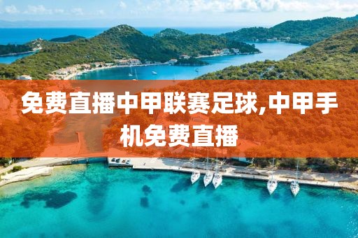 免费直播中甲联赛足球,中甲手机免费直播