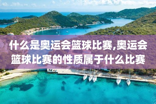 什么是奥运会篮球比赛,奥运会篮球比赛的性质属于什么比赛