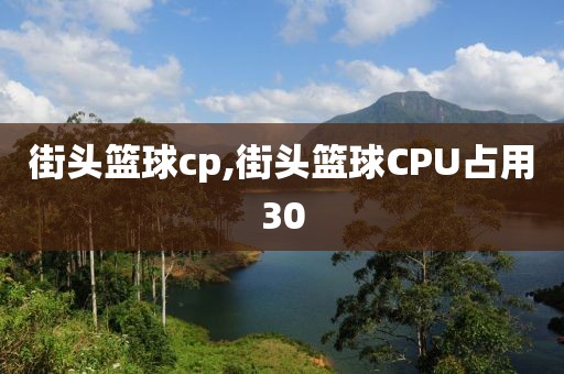 街头篮球cp,街头篮球CPU占用30