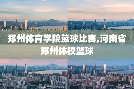 郑州体育学院篮球比赛,河南省郑州体校篮球
