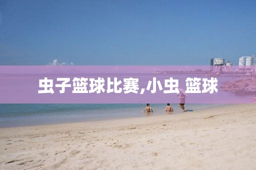 虫子篮球比赛,小虫 篮球