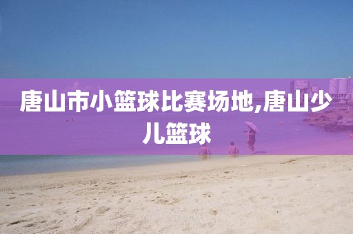 唐山市小篮球比赛场地,唐山少儿篮球