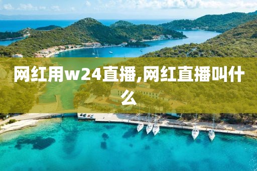 网红用w24直播,网红直播叫什么