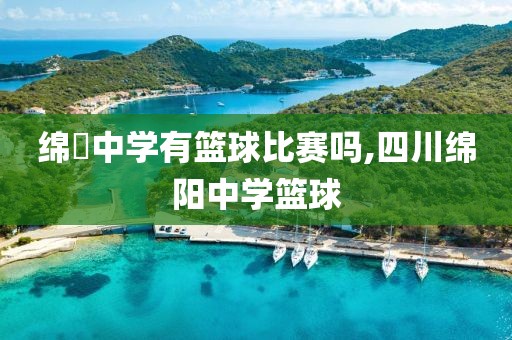 绵虒中学有篮球比赛吗,四川绵阳中学篮球