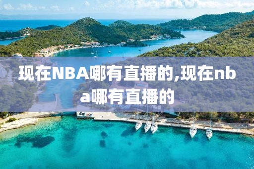 现在NBA哪有直播的,现在nba哪有直播的