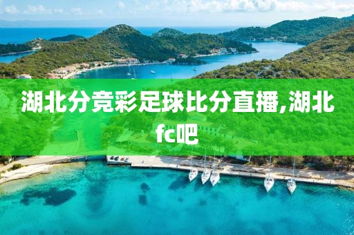 湖北分竞彩足球比分直播,湖北fc吧