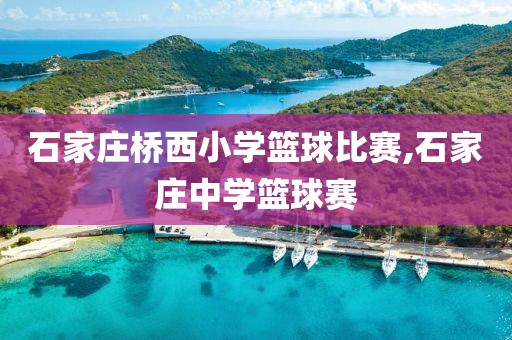 石家庄桥西小学篮球比赛,石家庄中学篮球赛