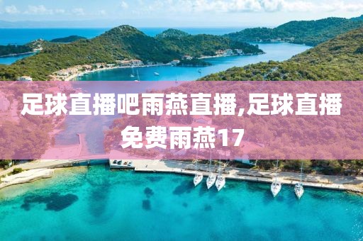 足球直播吧雨燕直播,足球直播免费雨燕17