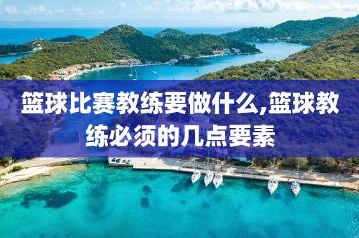 篮球比赛教练要做什么,篮球教练必须的几点要素
