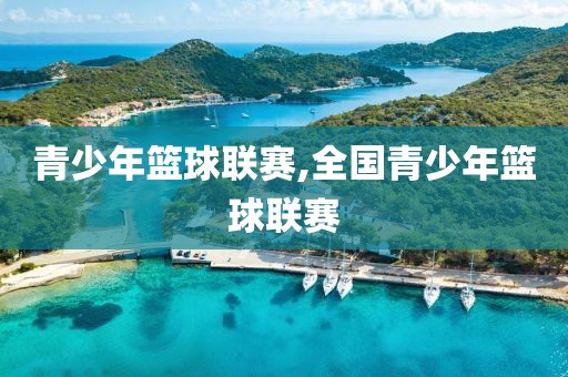 青少年篮球联赛,全国青少年篮球联赛