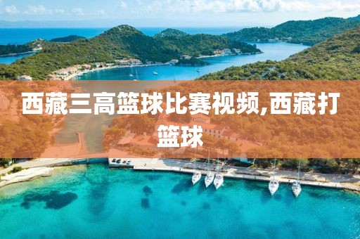 西藏三高篮球比赛视频,西藏打篮球