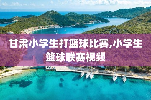 甘肃小学生打篮球比赛,小学生篮球联赛视频