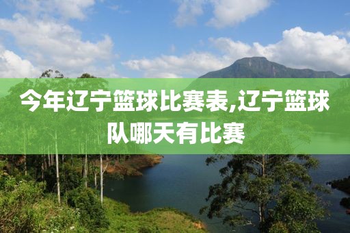 今年辽宁篮球比赛表,辽宁篮球队哪天有比赛