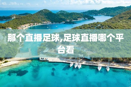 那个直播足球,足球直播哪个平台看