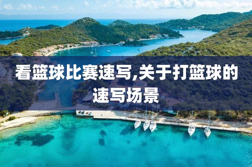 看篮球比赛速写,关于打篮球的速写场景