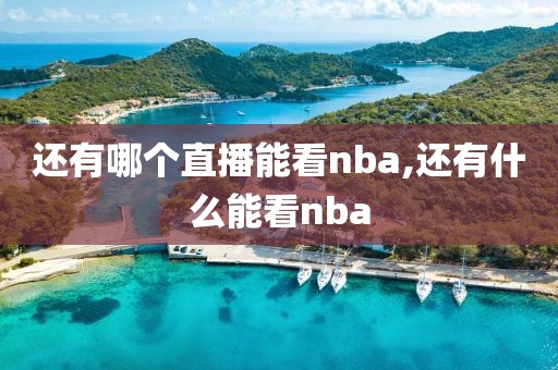 还有哪个直播能看nba,还有什么能看nba