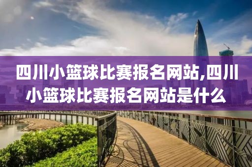 四川小篮球比赛报名网站,四川小篮球比赛报名网站是什么