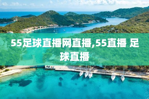 55足球直播网直播,55直播 足球直播