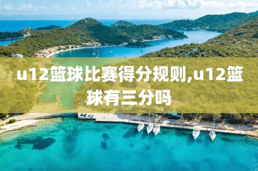 u12篮球比赛得分规则,u12篮球有三分吗