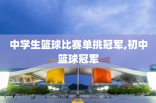 中学生篮球比赛单挑冠军,初中篮球冠军