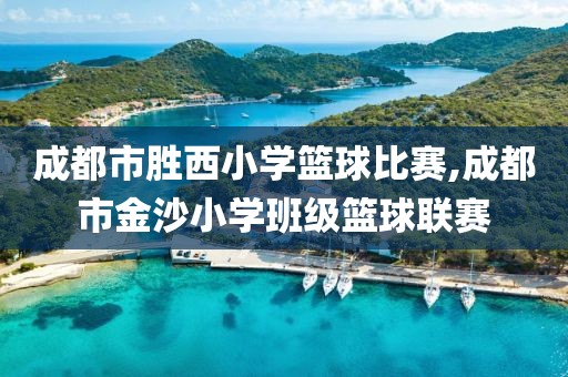 成都市胜西小学篮球比赛,成都市金沙小学班级篮球联赛