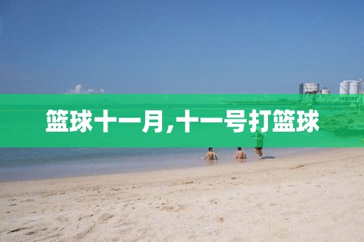 篮球十一月,十一号打篮球
