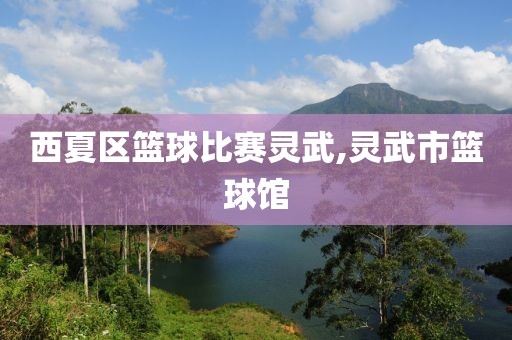 西夏区篮球比赛灵武,灵武市篮球馆