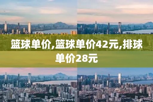 篮球单价,篮球单价42元,排球单价28元
