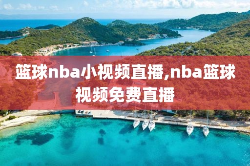 篮球nba小视频直播,nba篮球视频免费直播