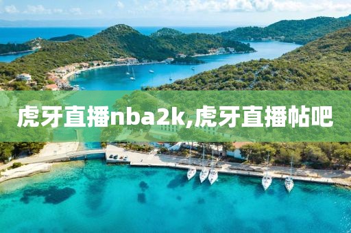 虎牙直播nba2k,虎牙直播帖吧