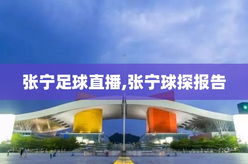 张宁足球直播,张宁球探报告