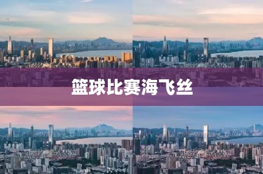 篮球比赛海飞丝