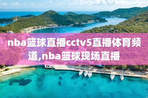 nba篮球直播cctv5直播体育频道,nba篮球现场直播