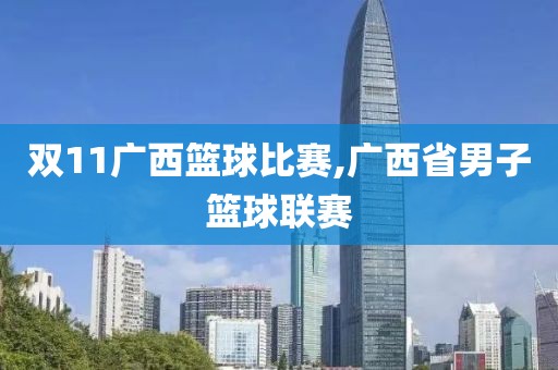 双11广西篮球比赛,广西省男子篮球联赛