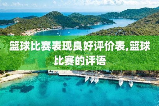 篮球比赛表现良好评价表,篮球比赛的评语