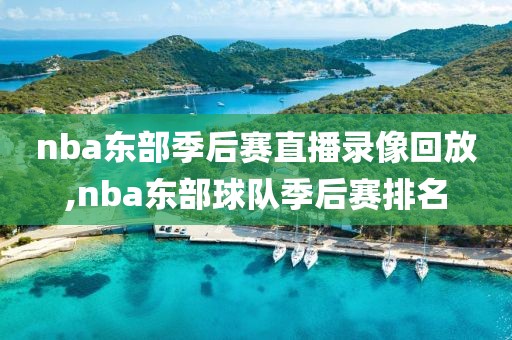 nba东部季后赛直播录像回放,nba东部球队季后赛排名