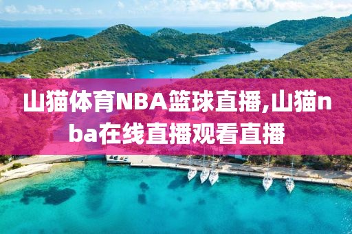 山猫体育NBA篮球直播,山猫nba在线直播观看直播