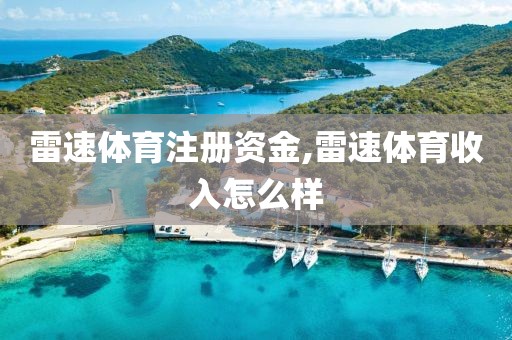 雷速体育注册资金,雷速体育收入怎么样
