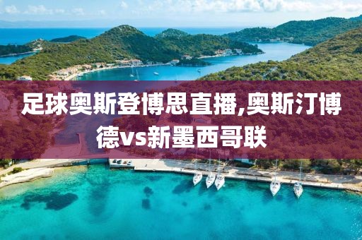 足球奥斯登博思直播,奥斯汀博德vs新墨西哥联